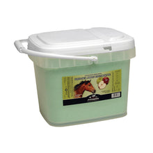 Cargar imagen en el visor de la galería, Equi-Dex Electrolyte Powder