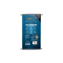 Cargar imagen en el visor de la galería, Tribute Foal Foundation™