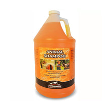 Cargar imagen en el visor de la galería, First Companion Veterinary Animal Shampoo