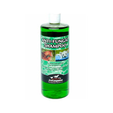 Cargar imagen en el visor de la galería, First Companion Veterinary Anti-Fungal Shampoo