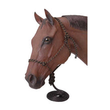 Cargar imagen en el visor de la galería, Tough1 Poly Rope Halter with 10' Lead