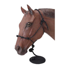 Cargar imagen en el visor de la galería, Tough1 Poly Rope Halter with 14' Lead
