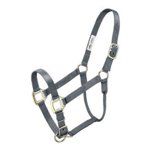 Cargar imagen en el visor de la galería, Tough1 Premium Halter - Horse