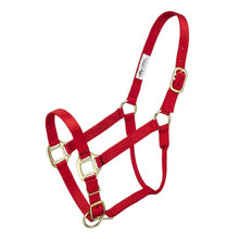 Cargar imagen en el visor de la galería, Tough1 Premium Halter - Horse