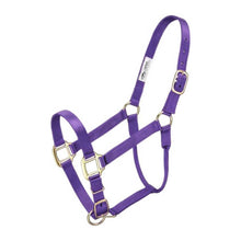 Cargar imagen en el visor de la galería, Tough1 Premium Halter - Horse