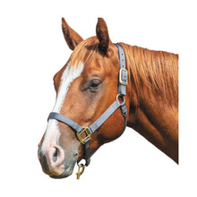 Cargar imagen en el visor de la galería, Tough1 Premium Halter - Weanling