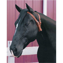 Cargar imagen en el visor de la galería, Tough1 Premium Leather Crib-Be-Gone Comfort Collar