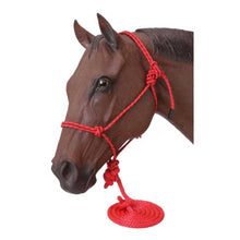 Cargar imagen en el visor de la galería, Tough1 Poly Rope Halter with 10' Lead