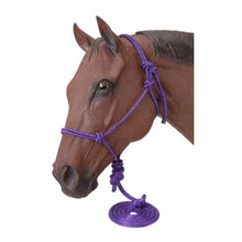 Cargar imagen en el visor de la galería, Tough1 Poly Rope Halter with 10' Lead