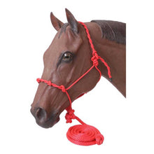 Cargar imagen en el visor de la galería, Tough1 Poly Rope Halter with 14' Lead