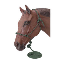 Cargar imagen en el visor de la galería, Tough1 Poly Rope Halter with 14' Lead