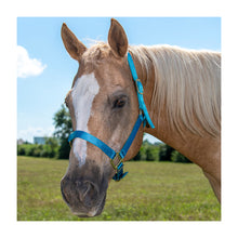 Cargar imagen en el visor de la galería, Tough1 Premium Halter - Horse