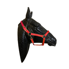 Cargar imagen en el visor de la galería, Valhoma Halter Medium Horse