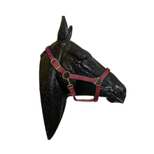 Cargar imagen en el visor de la galería, Valhoma Halter Medium Horse