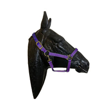 Cargar imagen en el visor de la galería, Valhoma Halter Medium Horse