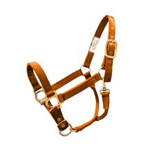 Cargar imagen en el visor de la galería, Valhoma Halter Small Horse