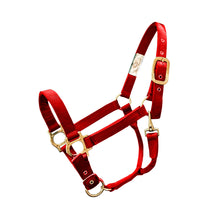 Cargar imagen en el visor de la galería, Valhoma Halter Small Horse