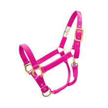 Cargar imagen en el visor de la galería, Valhoma Halter Small Horse