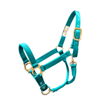 Cargar imagen en el visor de la galería, Valhoma Halter Small Horse
