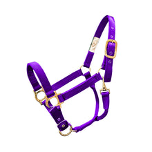 Cargar imagen en el visor de la galería, Valhoma Halter Small Horse