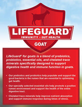 Cargar imagen en el visor de la galería, Start Right® Kid Feed Medicated
