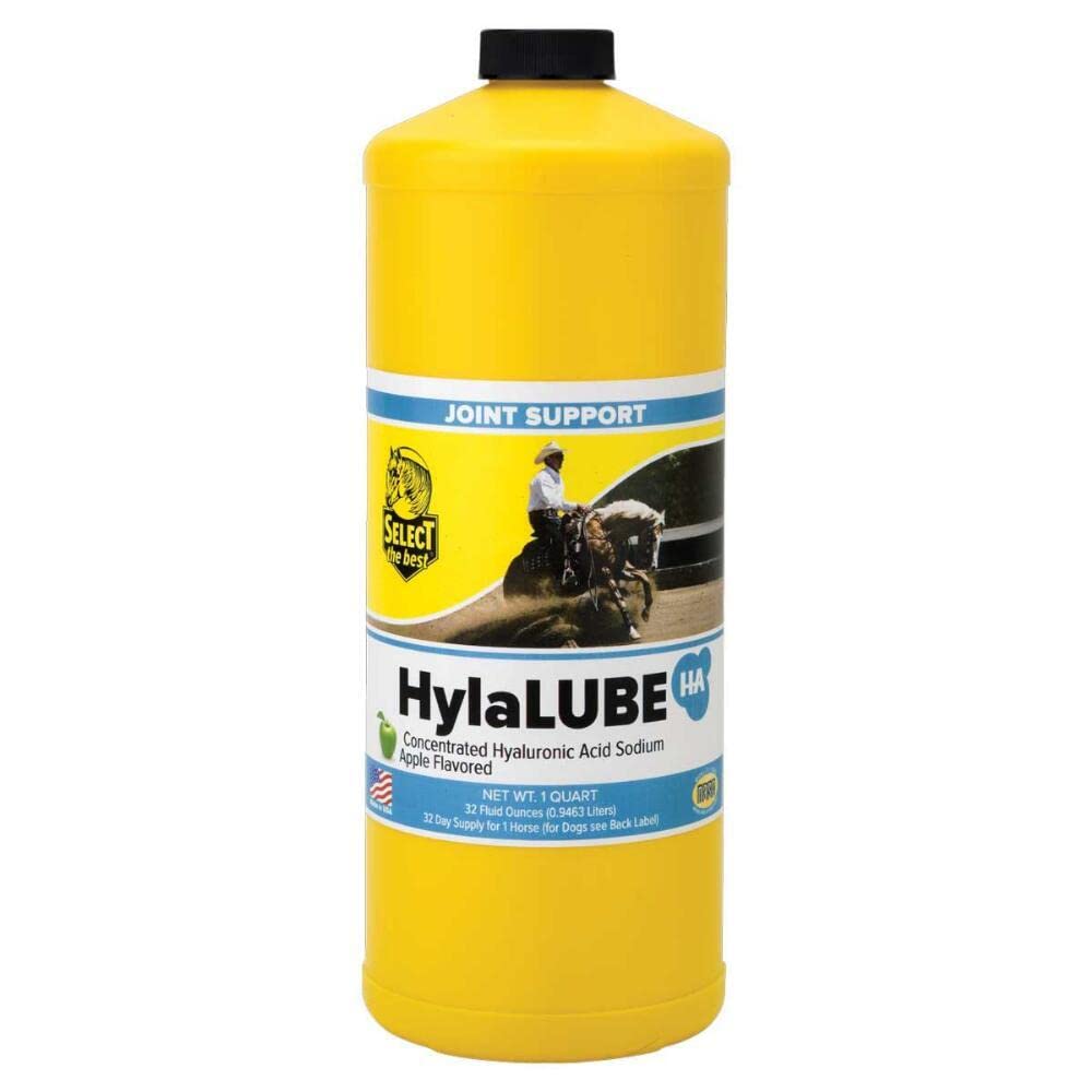 HylaLUBE