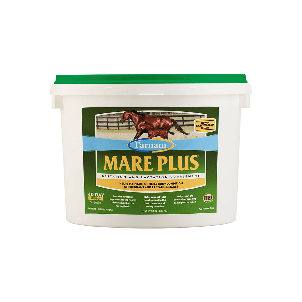 Mare Plus