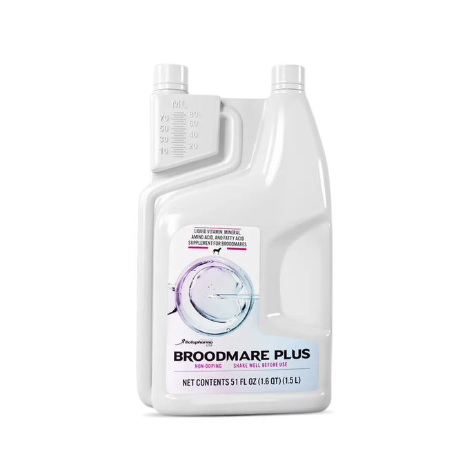 Broodmare Plus