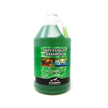 Cargar imagen en el visor de la galería, First Companion Veterinary Anti-Fungal Shampoo
