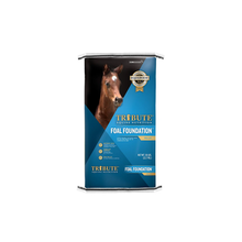 Cargar imagen en el visor de la galería, Tribute Foal Foundation™
