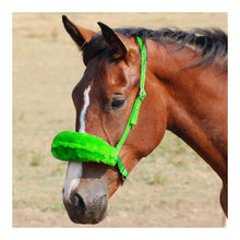 Cargar imagen en el visor de la galería, Large Thoroughbred Shadow Roll Cover
