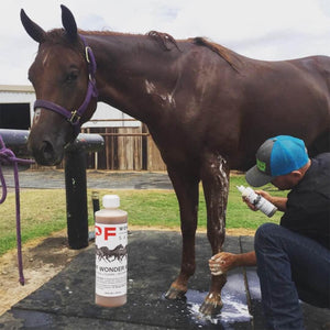 PF Wonder Wash