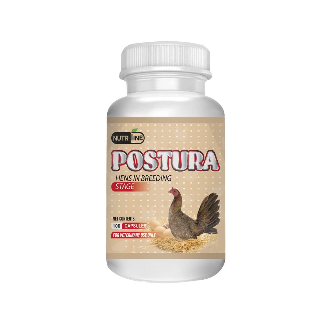 Postura