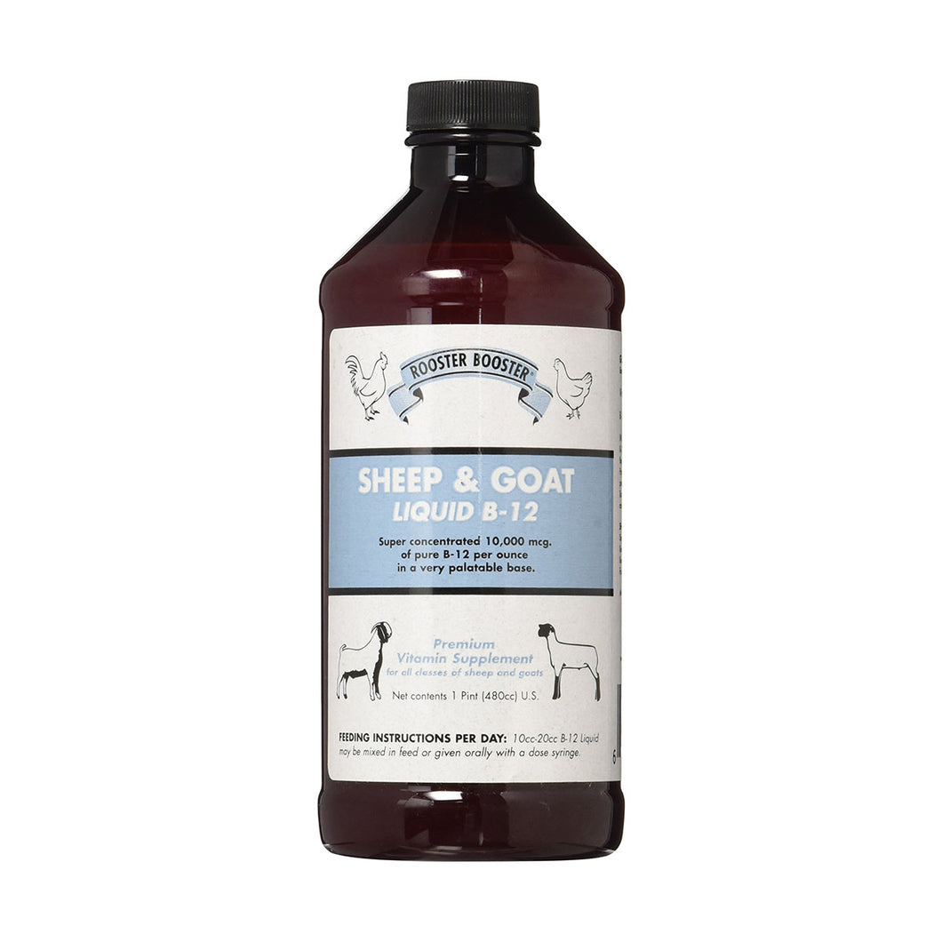 Sheep & Goat Liquid B-12