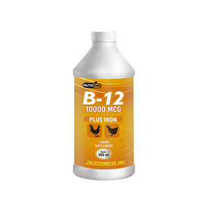 Vitamin B12 Plus Iron 500ml